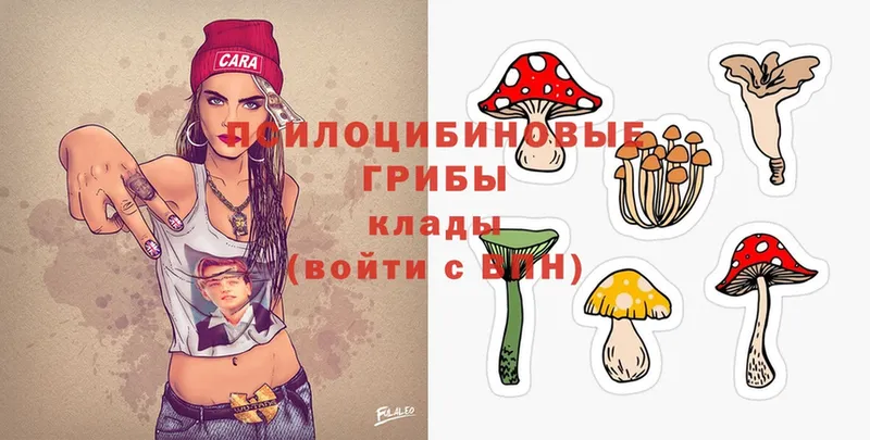 Галлюциногенные грибы Psilocybine cubensis Игра